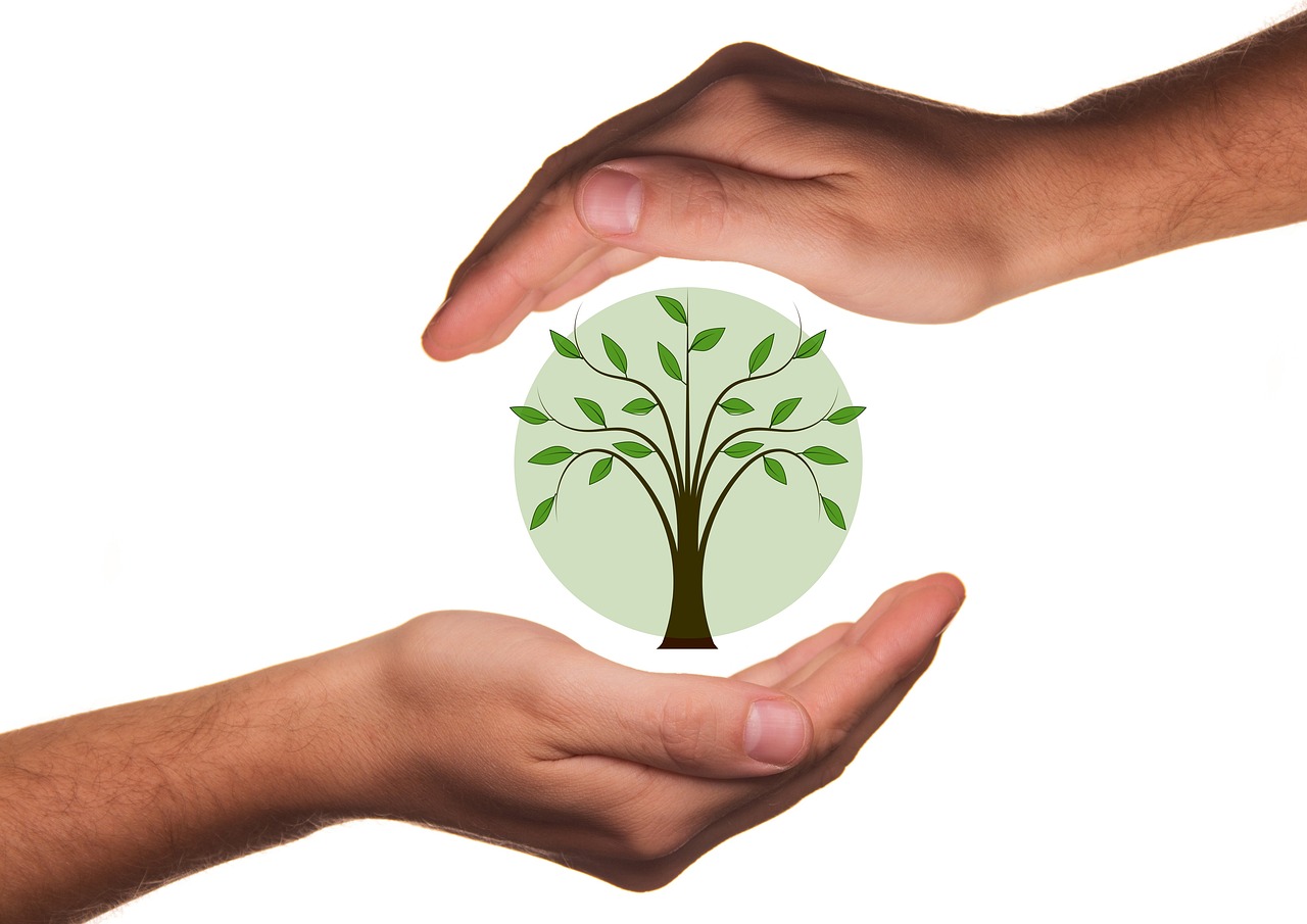 How to Start an Eco-Friendly Daily Routine?